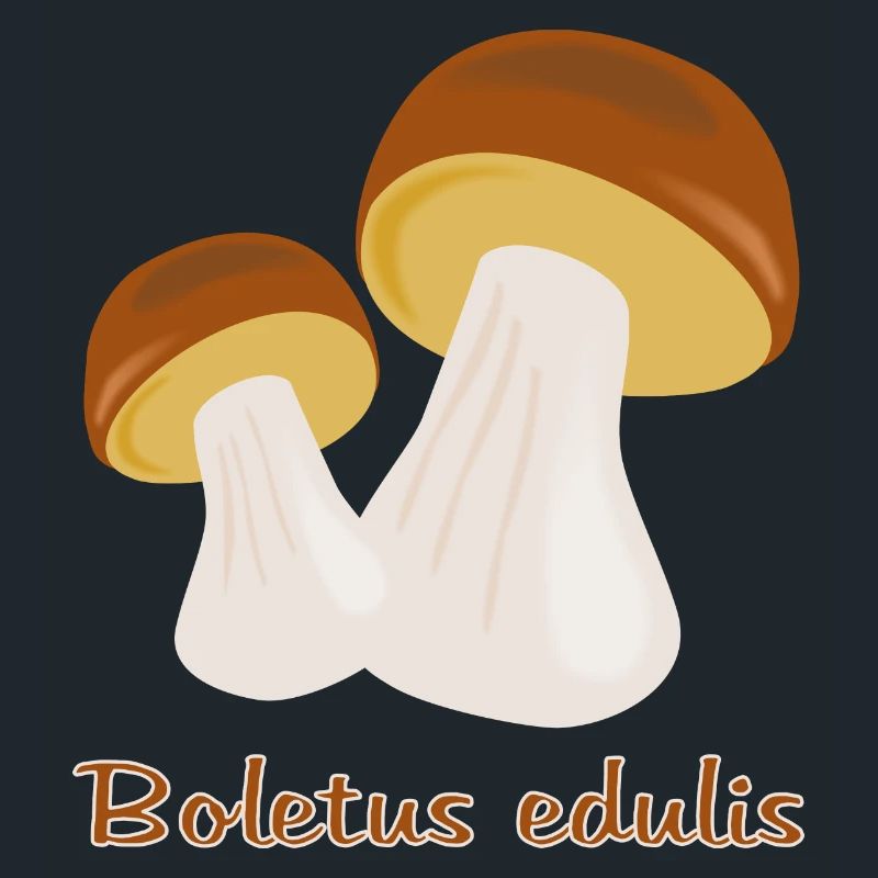 Champignons d’automne