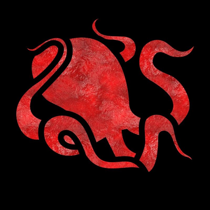 Tentacle squid octopus