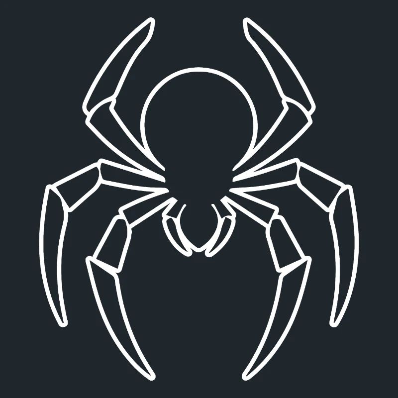 Spider spiders animals