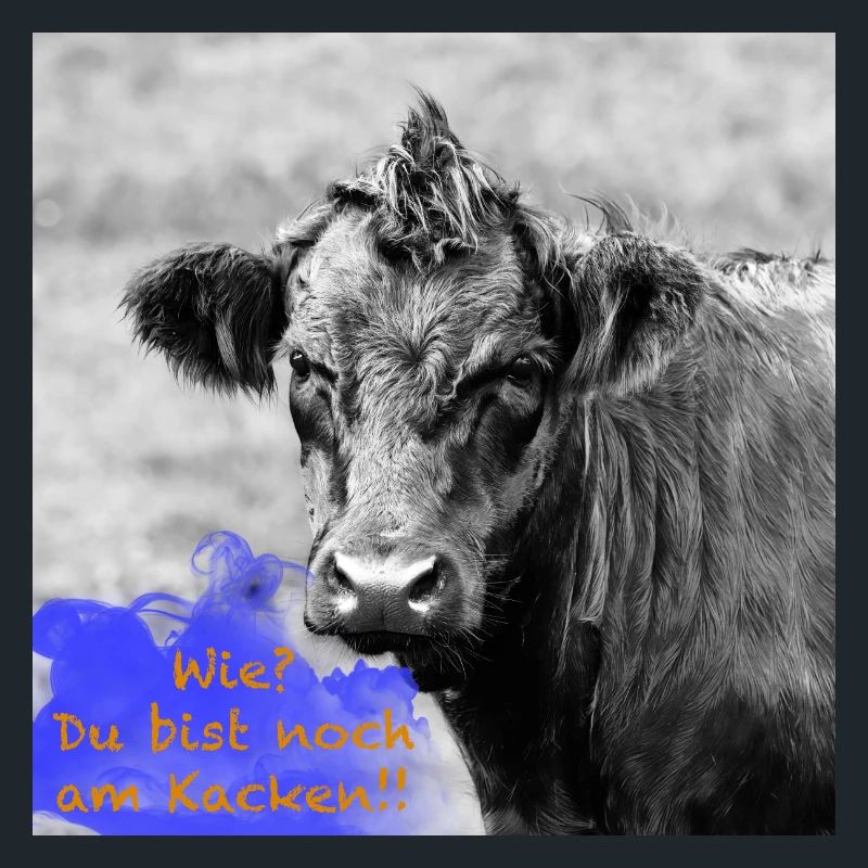Rind mit lustigem Spruch