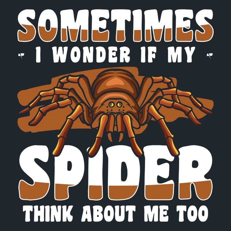 Spider Web Crawling
