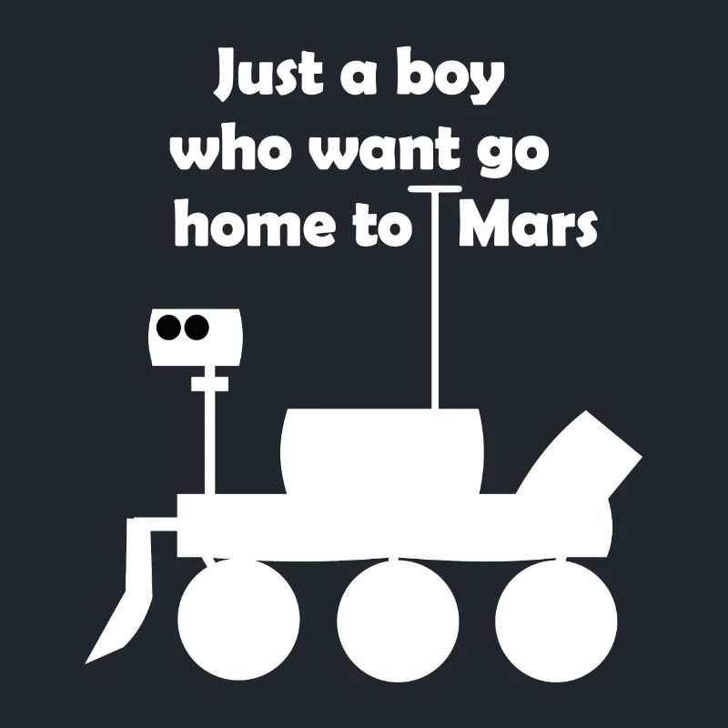 Excursion into space