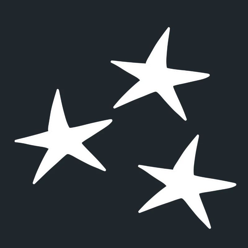 Star pattern icon