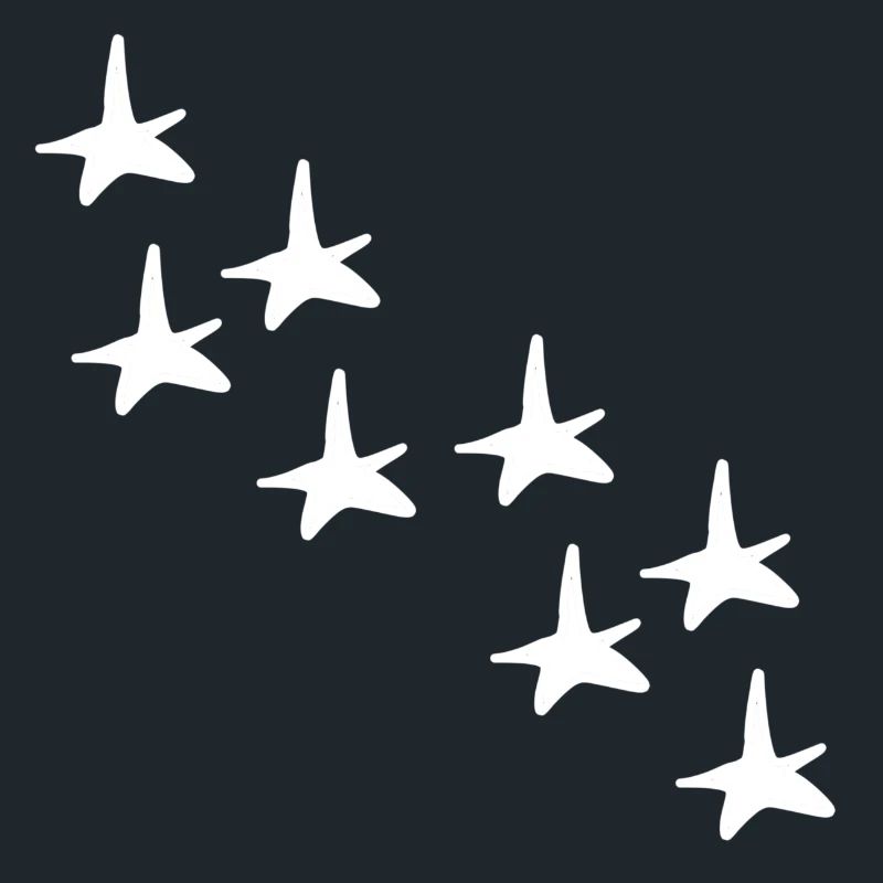Stars Star Pattern Shapes Icon