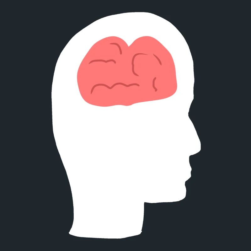 Head Profile Human People Side Brain