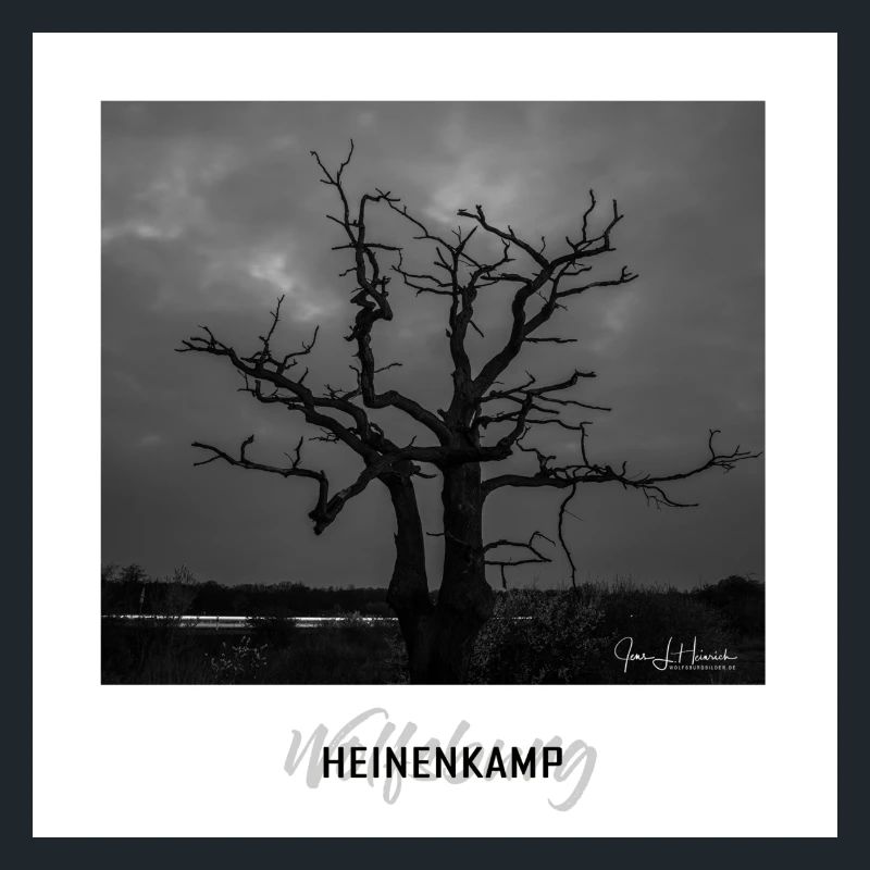 Wolfsburger Baum im Heinenkamp