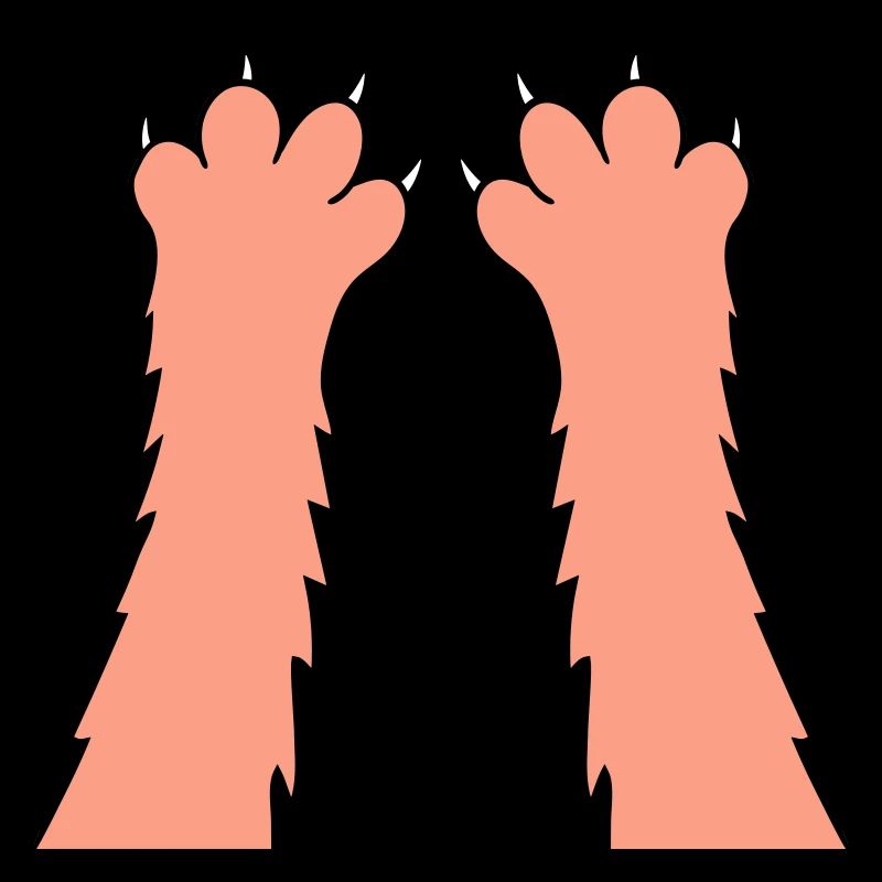 Chats, griffes, pattes, pattes, griffes acérées, grattage