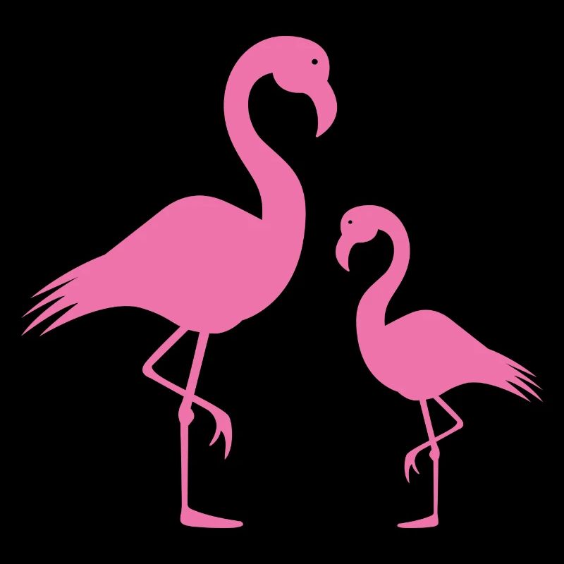 Flamants roses