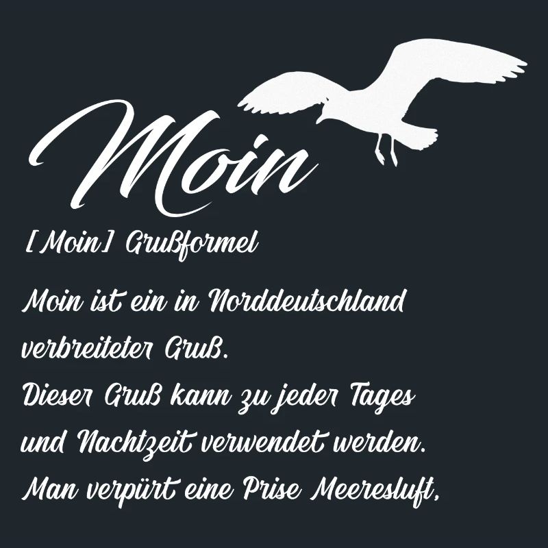Moin Definiton Geschenk Idee mit Möwe