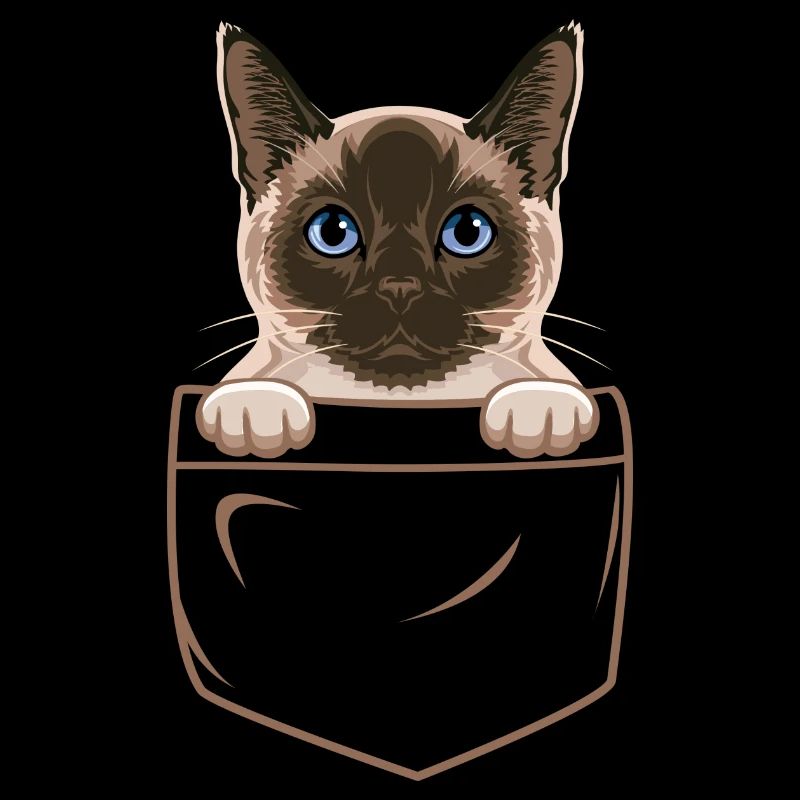 Siamese cat