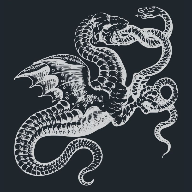 Drache Drachen Schlange Schlangen Mystisch
