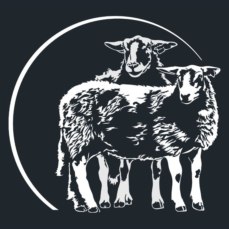 SCHAFE Schaf Sheep Tier Schäfer Wilsigns