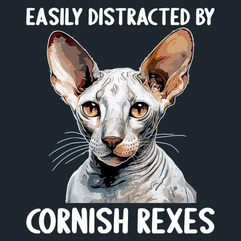 Cornish Rex Facilement distrait par les Cornish Rex