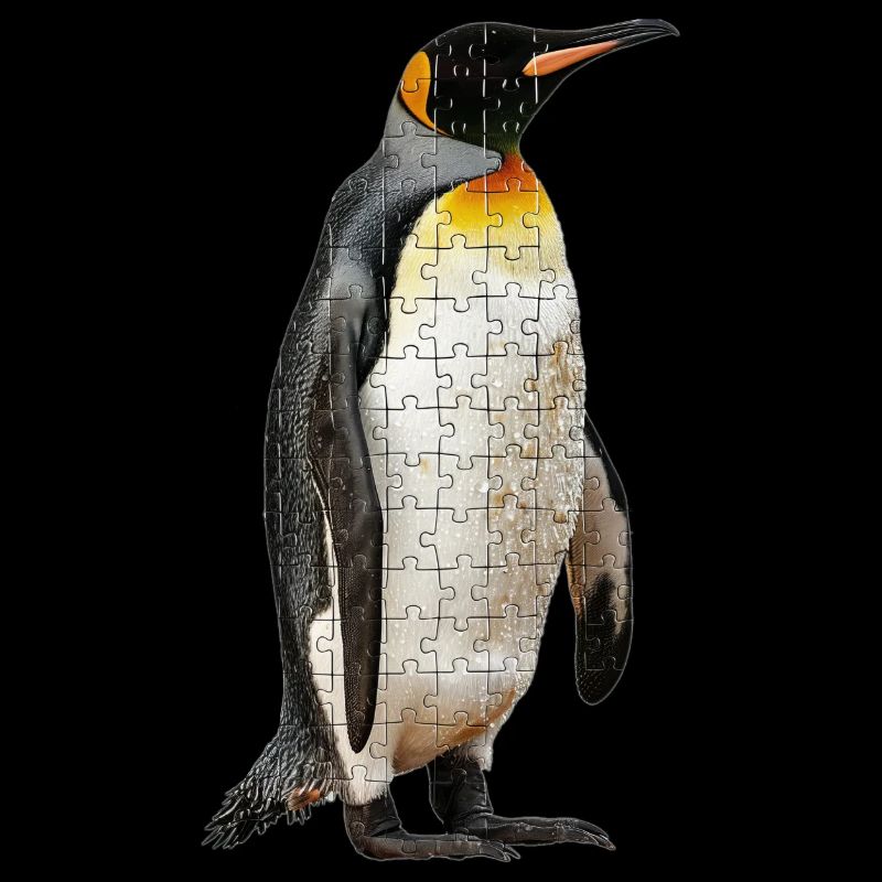 Pingouin