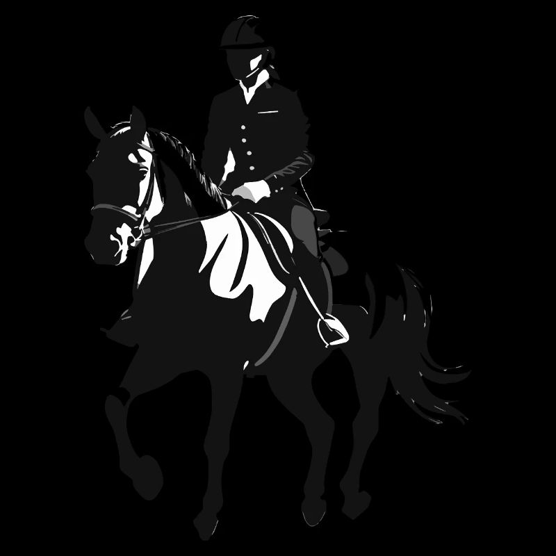 Cheval et cavalier - Design équestre