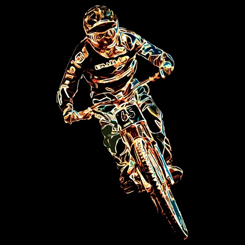 vtt mtb downhill