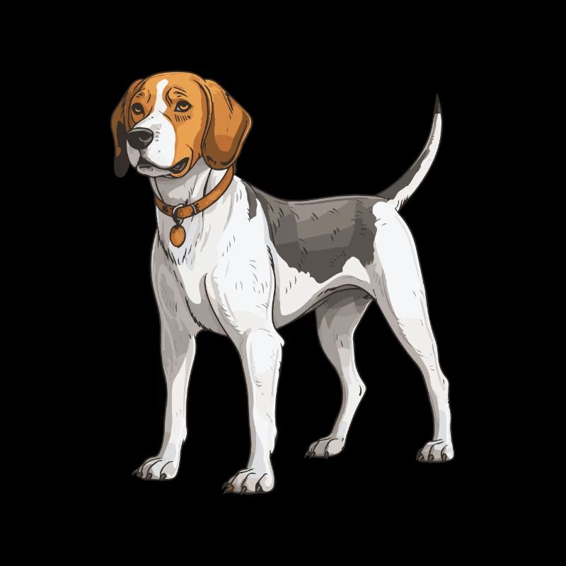 Beagle Hund Tier