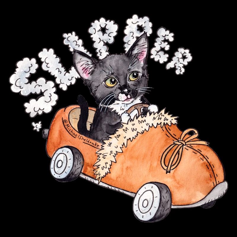Pantoufle pour excès de vitesse