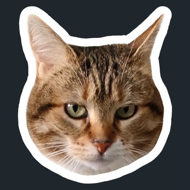 Missty Sad Decal