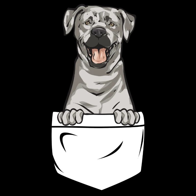 Silver Labrador Retriever Silver Lab