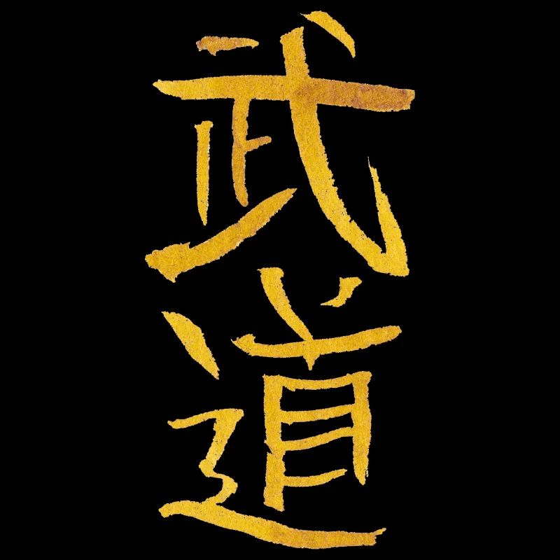Budo