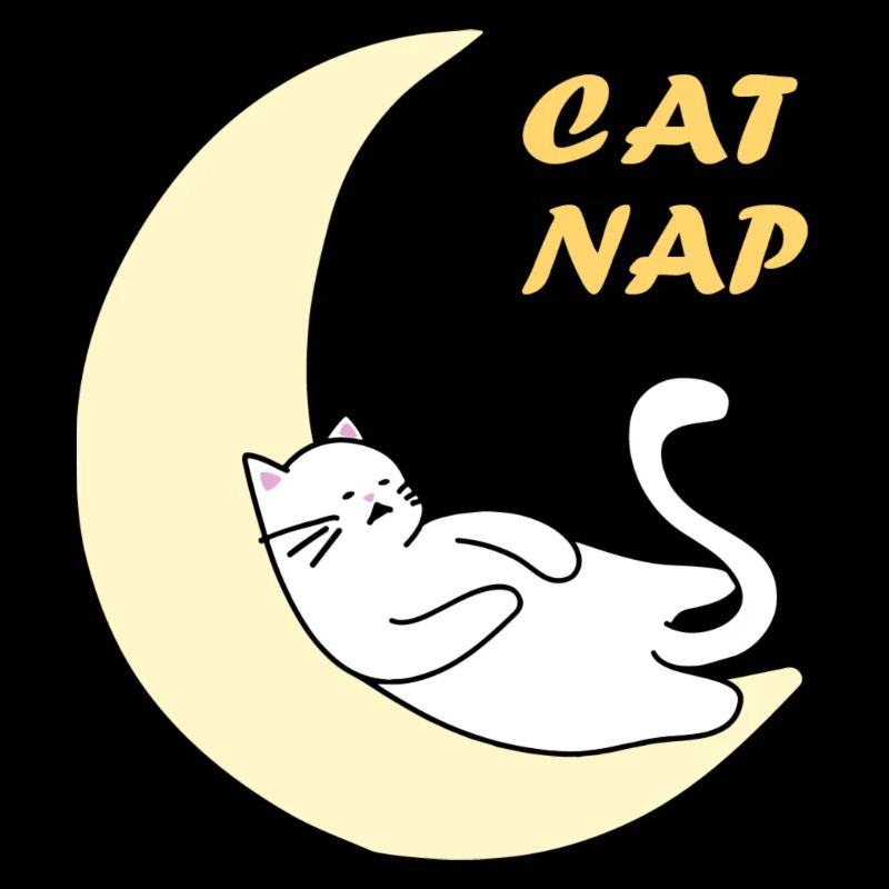 Sieste de chat sur la lune