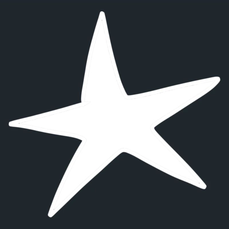 Star pattern icon