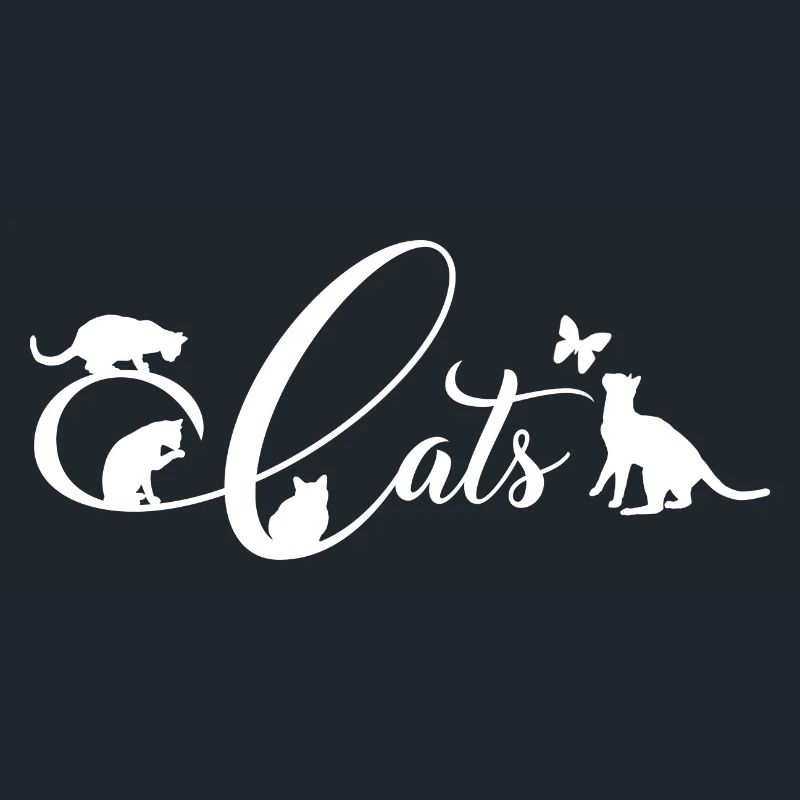 Cheerful kittens do gymnastics on decorative writing