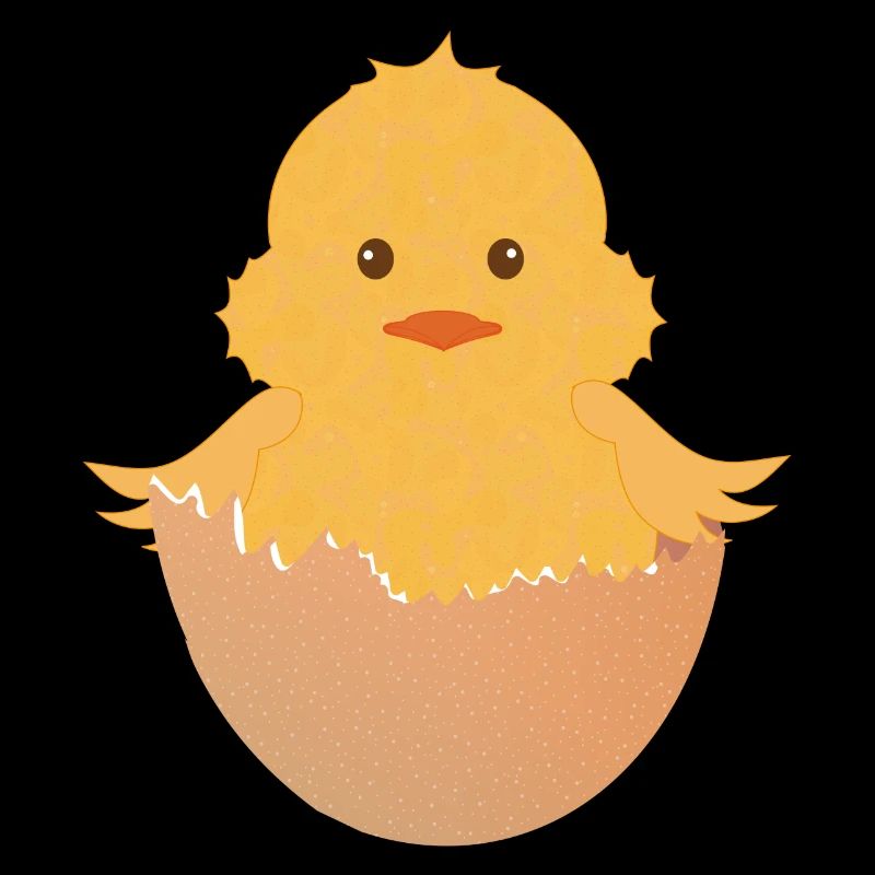 newly hatched chick in the eggshell