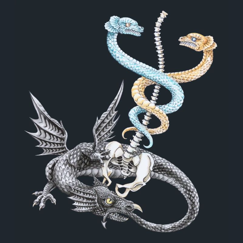 Le caducée d'Hermès