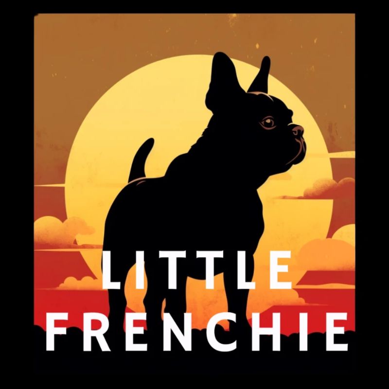 Little Frenchie