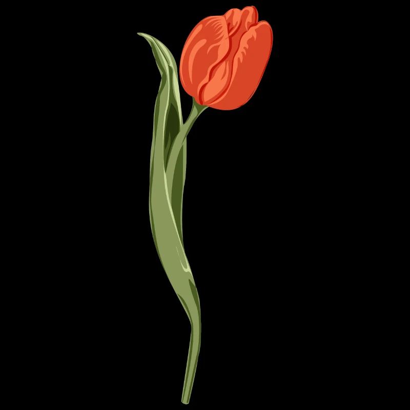 Illustration de tulipe rouge vif