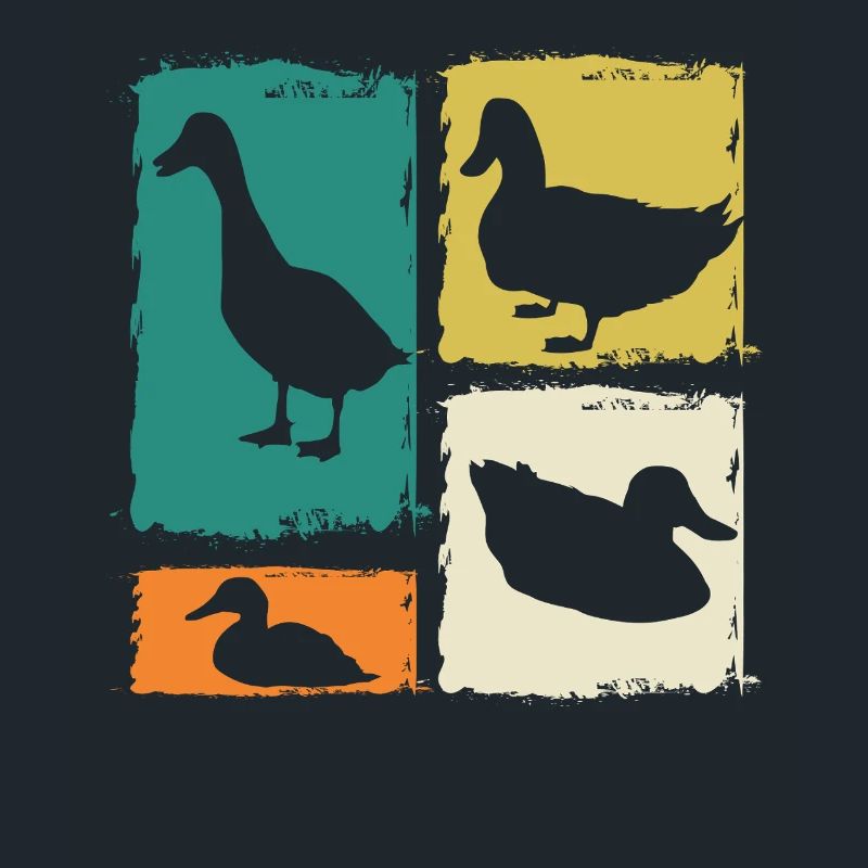 Canards