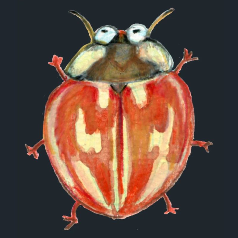 striped ladybug