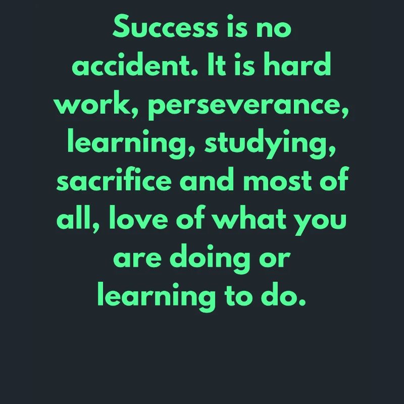 Success Is No Accident It Is Hard Work