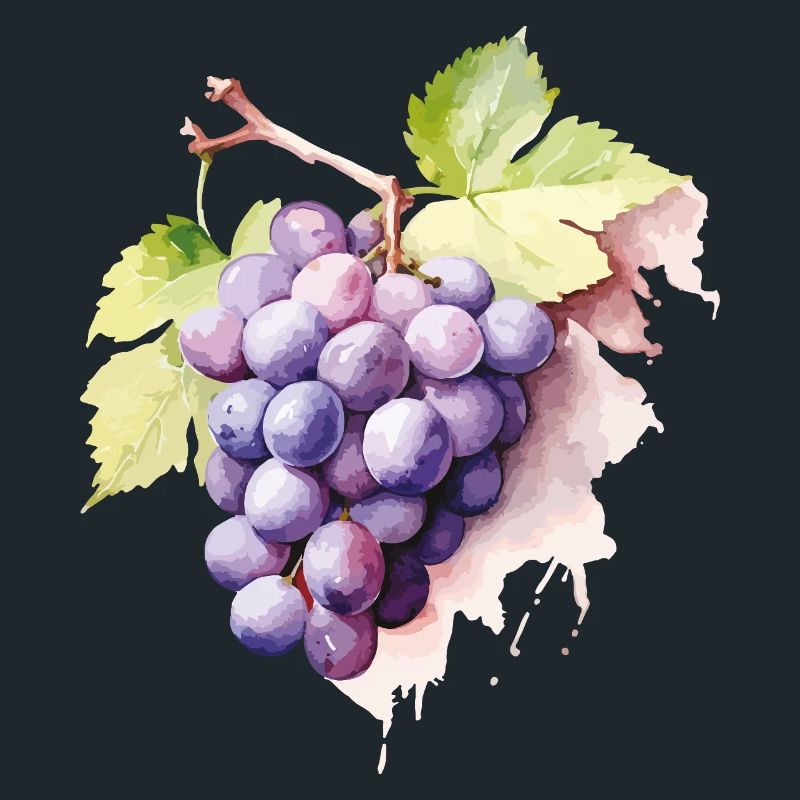 Grappe d’aquarelle de raisins