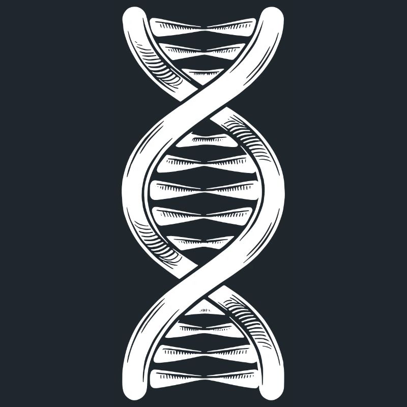 DNA strand double helix with hydrogen bonds