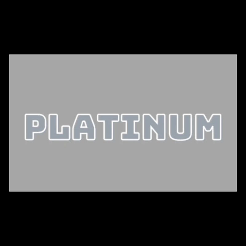 platinum Brand Clothing& Acessories