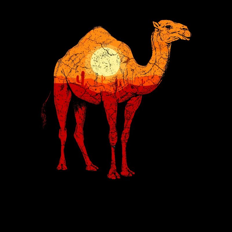 Desert Camel Sahara Arabia Savannah Orient Vintage