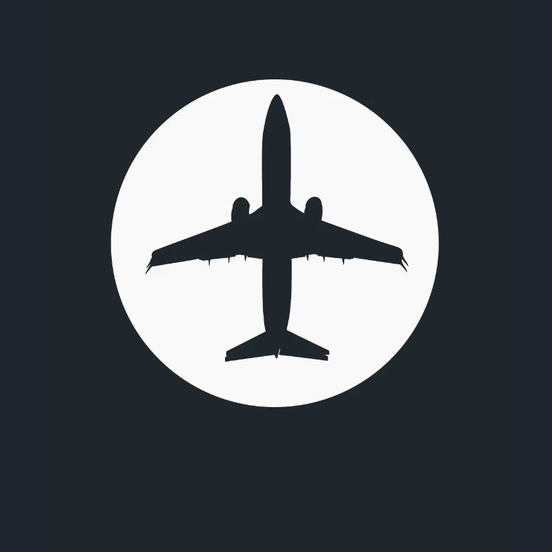 Pilot Airplane Airplane Gift