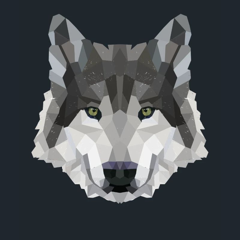 POLYGONE LOUPS LOUPS HUSKY PACK PACK CHIEN PACK PACK