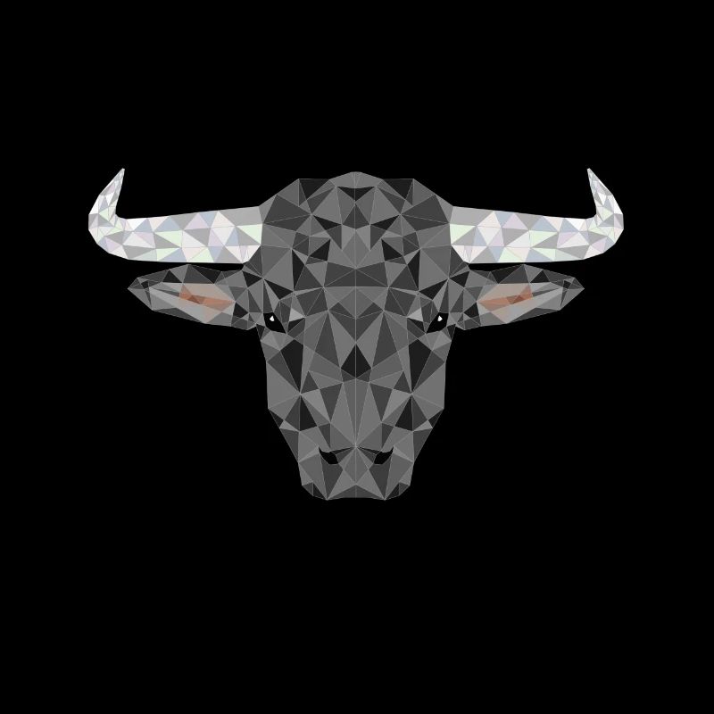 Bulle Stier Stierkampf Polygon Rind Tiere Spanien