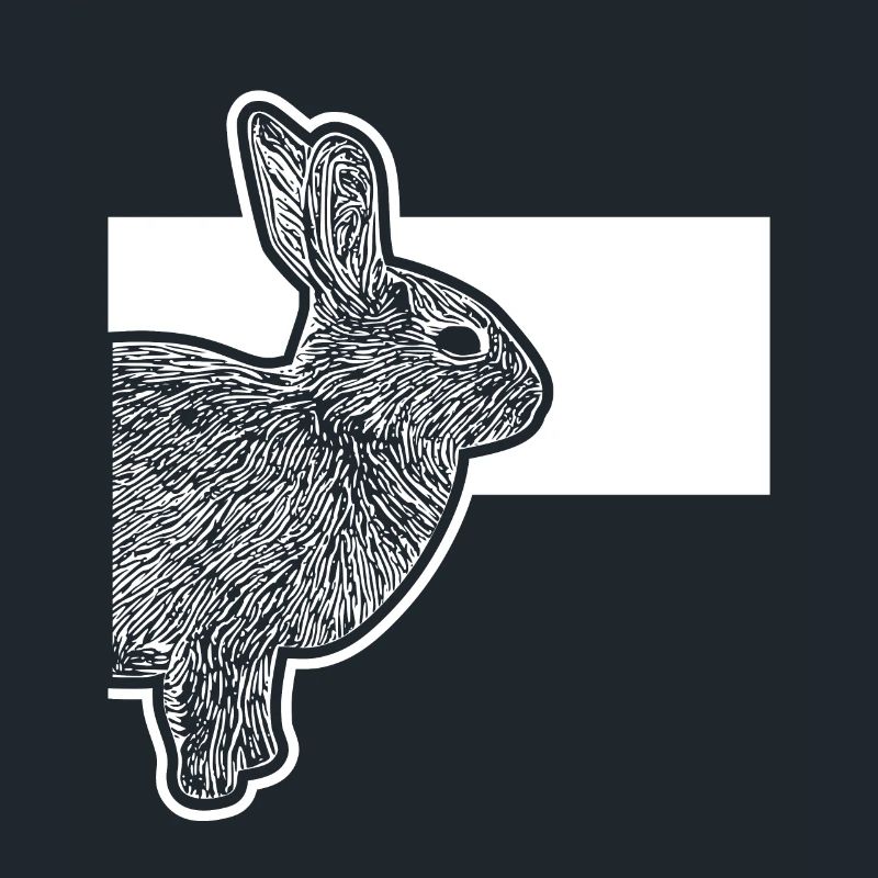 Cute Dwarf Rabbit Rabbit Breeder