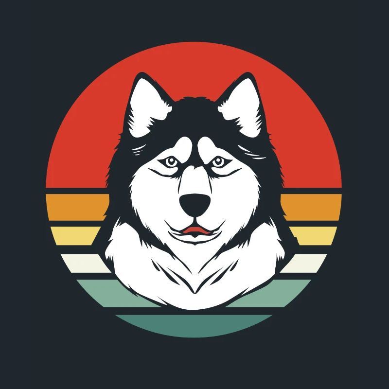 Malamute sled dog