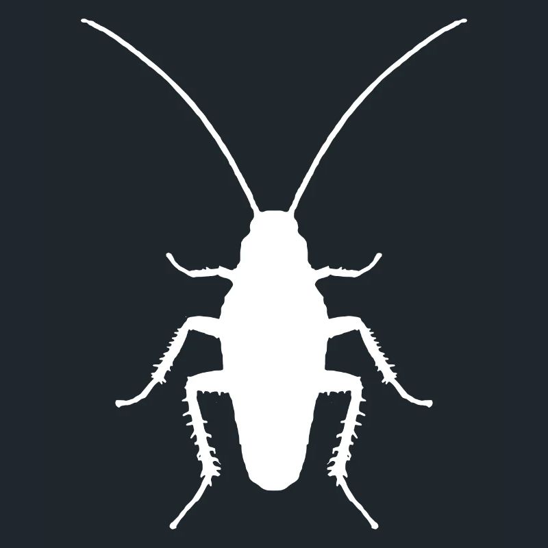 Entomologiste d’insectes cafards