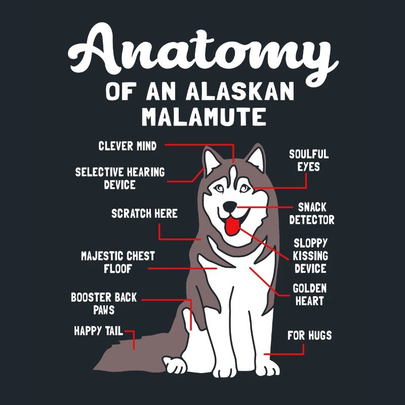 Malamute