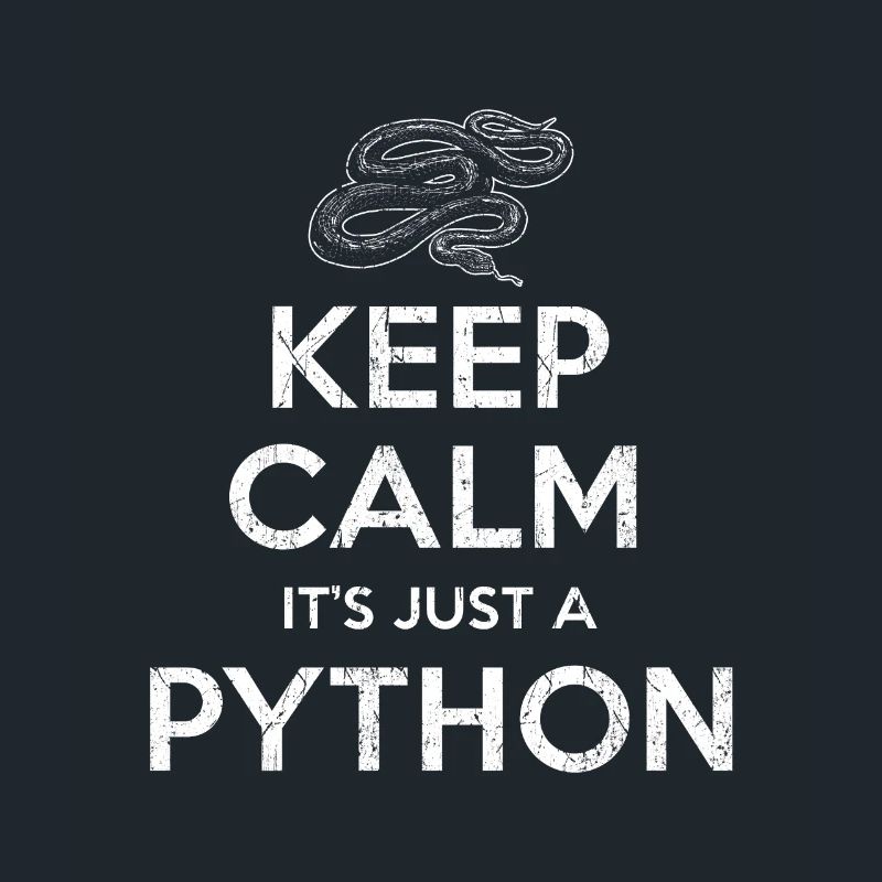 Python Schlange
