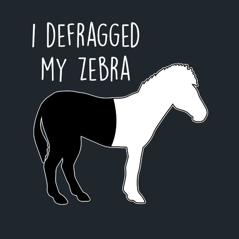 I defragged my Zebra Coder Computer Scientist Hacker