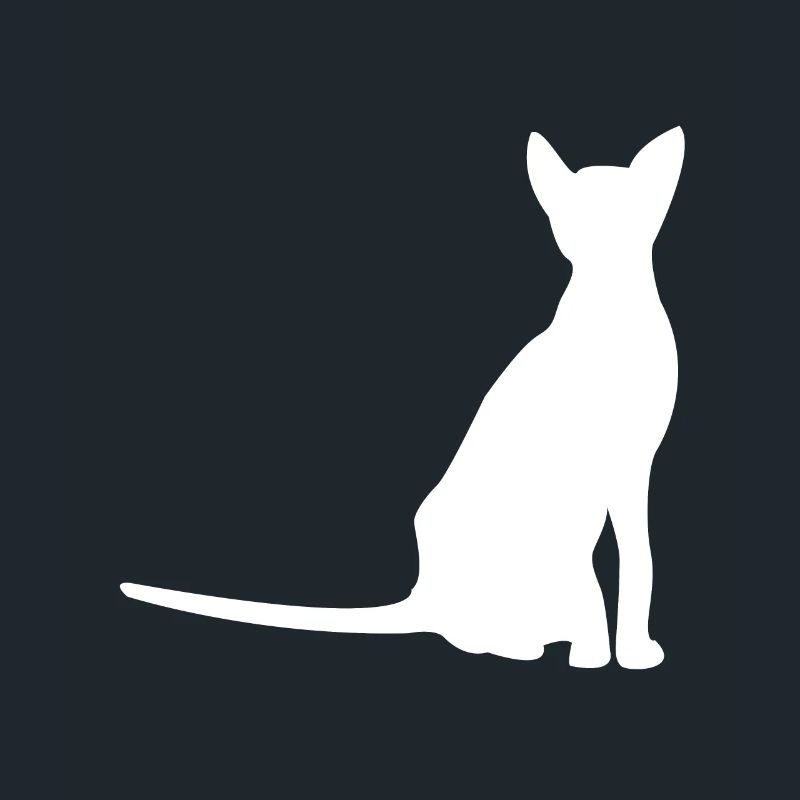 Chats chats silhouette
