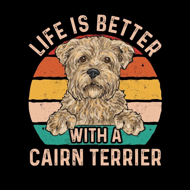 Cairn Terrier Chien